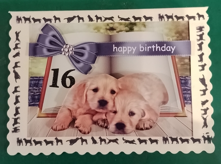 A5 Cute Puppies by Diane Gray