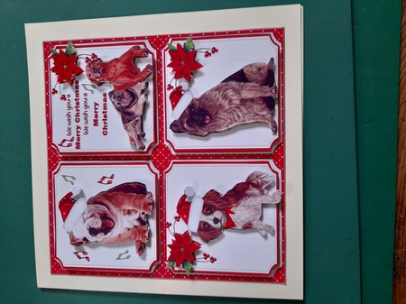 Dogs Christmas choir 8x8 & A5 mini kit  by Diane Gray