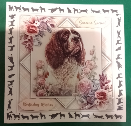 8x8 Mini Kit, Beautiful Springer Spaniel by Diane Gray