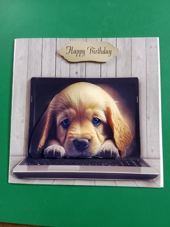 puppy by Diane Gray