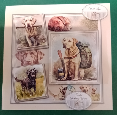 The Labrador Retriever Mini Page Kit by Diane Gray
