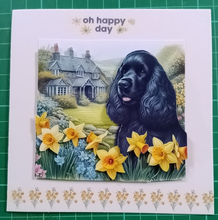 Daffodil Garden Cocker Spaniel by Diane Gray