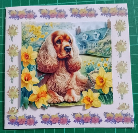 Daffodil Garden Cocker Spaniel by Diane Gray