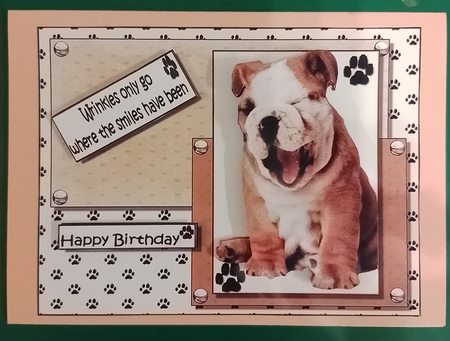 Wrinkles and Smiles Birthday Decoupage by Diane Gray