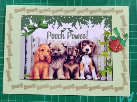 Pooch Power, Cute Little Dogs by Diane Gray