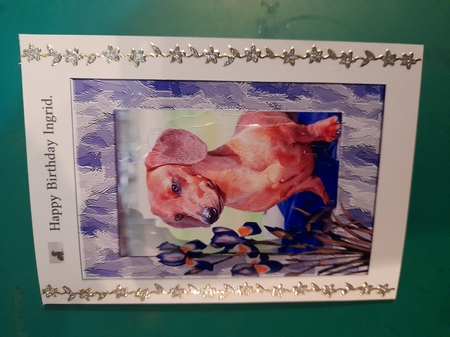 Dachshund with Irises by Diane Gray