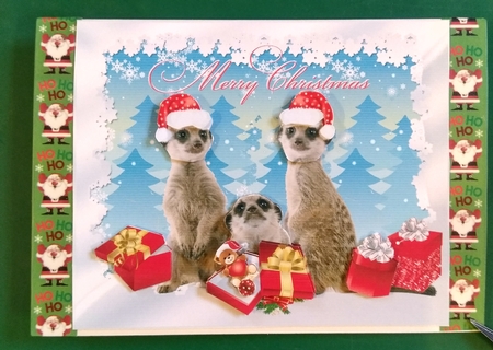 Meerkat Christmas by Diane Gray