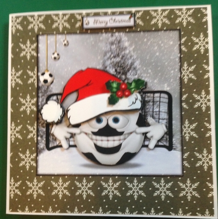 Christmas is Cancelled - gone to the Match by Diane Gray