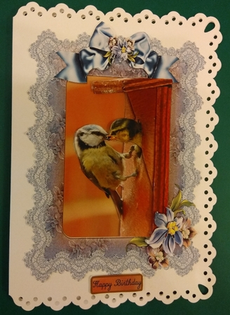 Lacy Blue Tits by Diane Gray