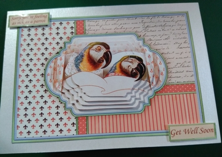 Feeling Sick as a Parrot Get Well Soon Quick Card & Pyramage by Diane Gray