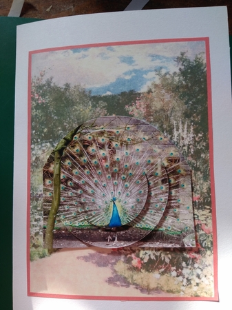 Garden Steps Floral Background by Diane Gray