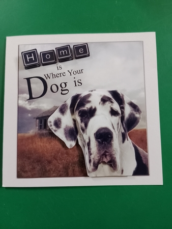 Home with Harlequin Great Dane Dog and Decoupage by Diane Gray
