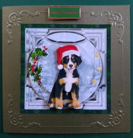Xmas Doggy by Diane Gray