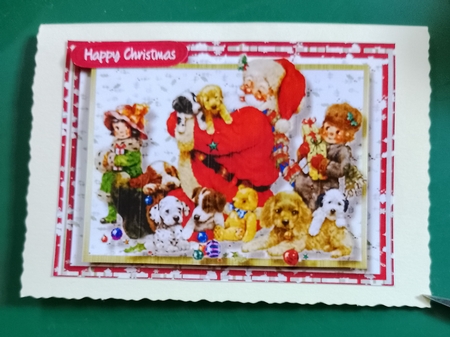 Santa and the Christmas Animals  by Diane Gray