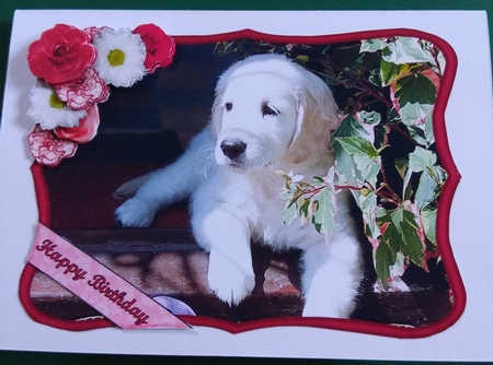 Golden Retriever Puppy with Flowers Decoupage by Diane Gray