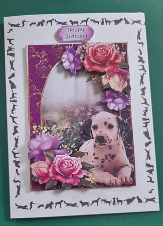 Dalmation Puppy & Beautiful Roses by Diane Gray
