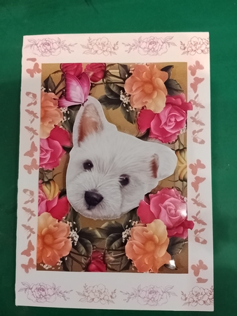 Gorgeous Westie in Bed of Flowers by Diane Gray