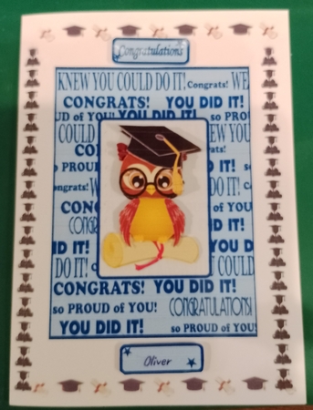 Congratulations You Did It ! by Diane Gray