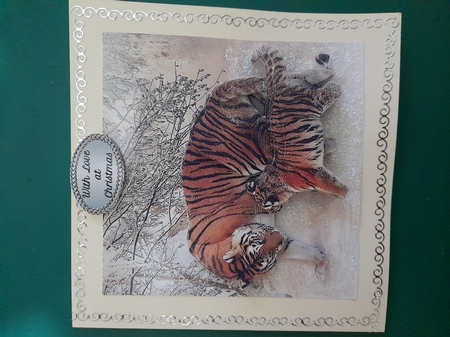 Because We Love Furries - Gorgeous Tigers in the Snow + Tag+ by Diane Gray