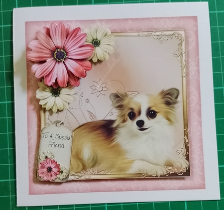 It's a Dogs Life Mini Kit by Diane Gray