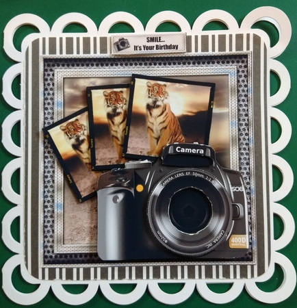 Through the Lens - Tiger by Diane Gray