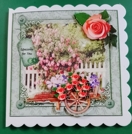 Rose Garden by Diane Gray
