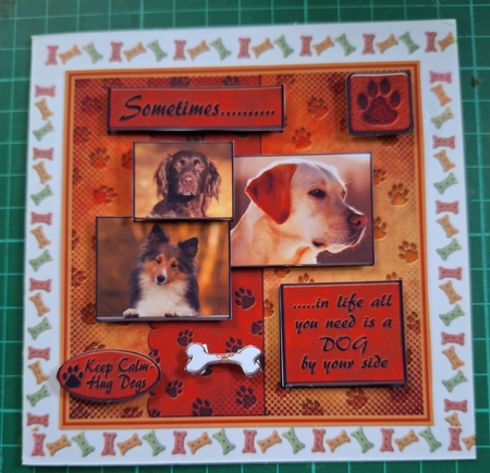 Sometimes.....Dogs by Diane Gray