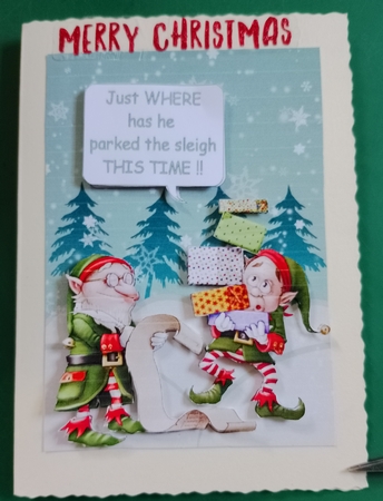 Wheres the Sleigh? by Diane Gray