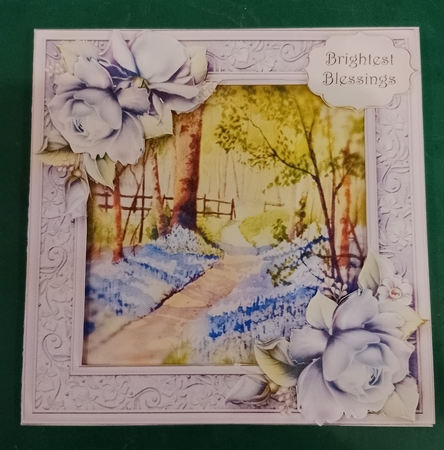 Beautiful Bluebell Woods by Diane Gray