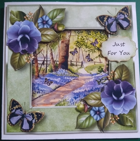 Butterfly Bluebell Woods by Diane Gray