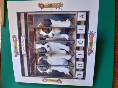 PUPPIES 7.5 Alphabet and Age Quick Card Kit Create Any Name by Diane Gray