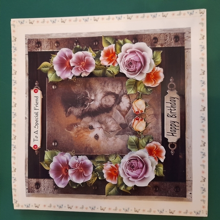 Cats and lilac roses by Diane Gray