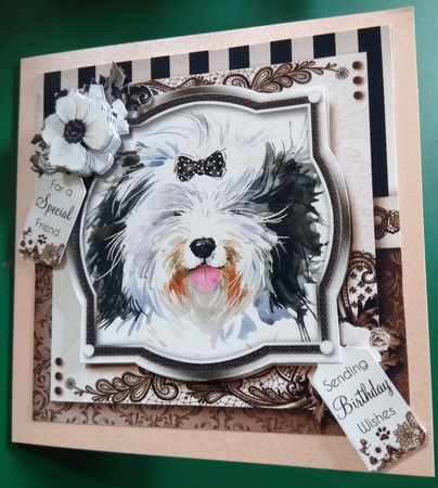 Daisy the Dog by Diane Gray