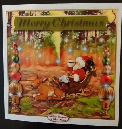 Forest Santa by Diane Gray