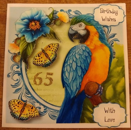 Pretty Parrot - Watercolour Wonder by Diane Gray