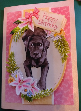 Black Labrador by Diane Gray