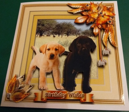 Animals Stepping Out - Labradors by Diane Gray