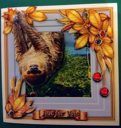 Wildlife Stepping Out Multipack A by Diane Gray