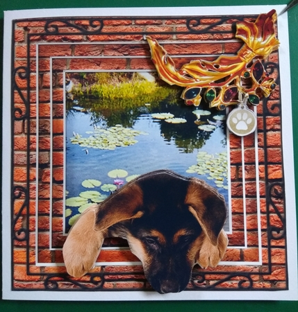 Stepping Out - More Dogs 8 by Diane Gray