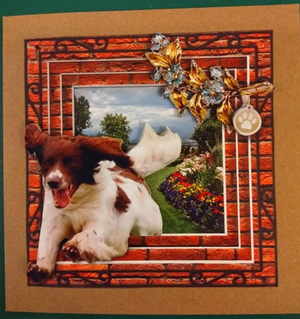Stepping Out - More Dogs 13 by Diane Gray