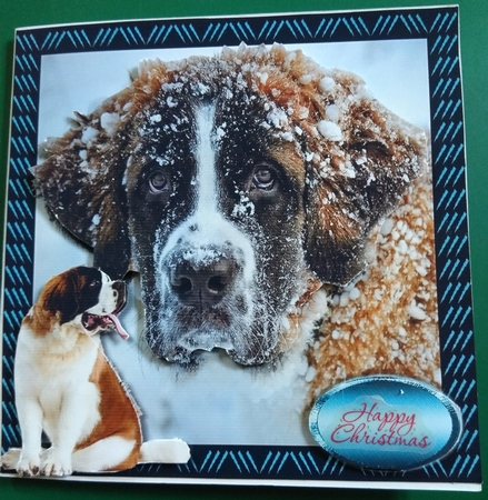 st bernard by Diane Gray
