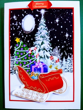 Wishing You A Merry Christmas by Diane Gray