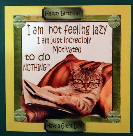 Lazy cat in armchair not motivated (green) 8x8 by Diane Gray