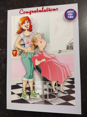 Hairdresser Dudess  by Diane Gray