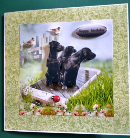 3 black labs by Diane Gray