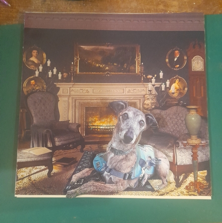 Victorian Blue Backgrounds by Diane Gray