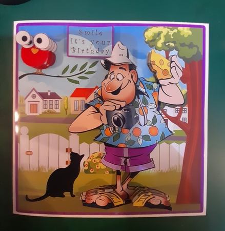 Photographer Watch the Birdie Say Cheese - Decoupage by Diane Gray