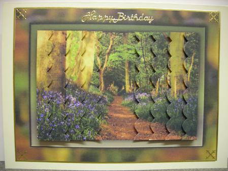 Bluebell Woods by Diane Greenwood