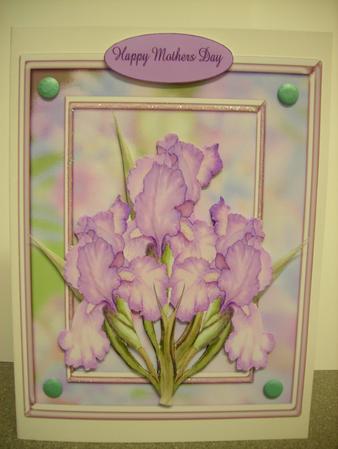 Loverly Pastel Iris Happy Birthday Get Well Soon Happy Mothers Day Best Wishes by Diane Greenwood