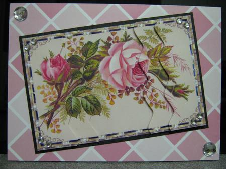 Roses and Rinestones by Diane Greenwood